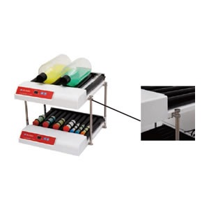 ��ʽ������